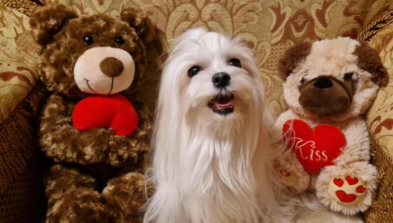 Ulvi2016 uploaded   144  day/s  ago