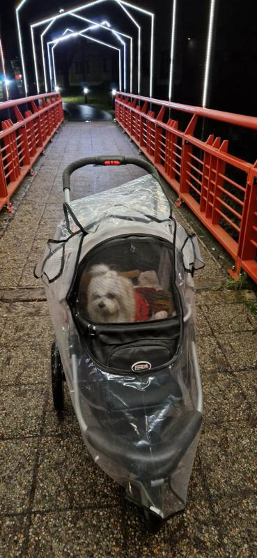 Ulvi2016 uploaded   133  day/s  ago