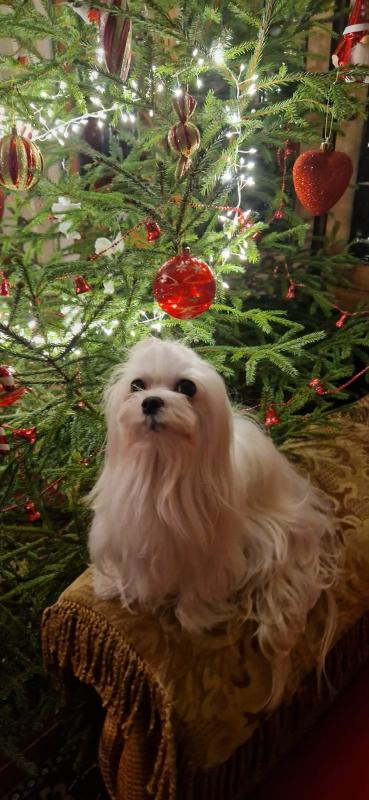 Ulvi2016 uploaded   122  day/s  ago