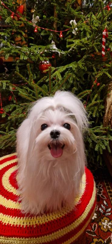 Ulvi2016 uploaded   122  day/s  ago