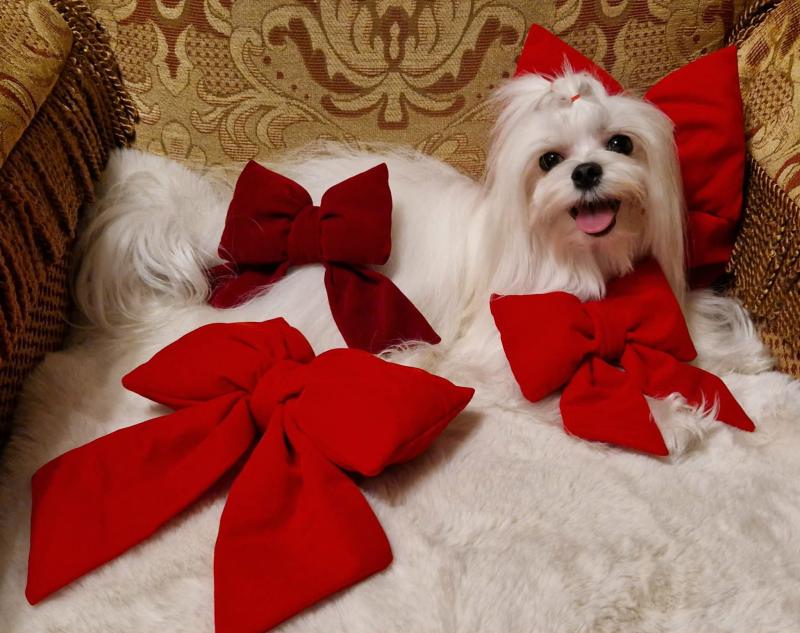 Ulvi2016 uploaded   138  day/s  ago