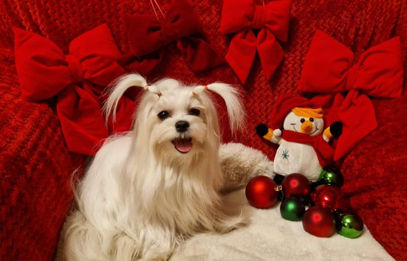 Ulvi2016 uploaded   137  day/s  ago