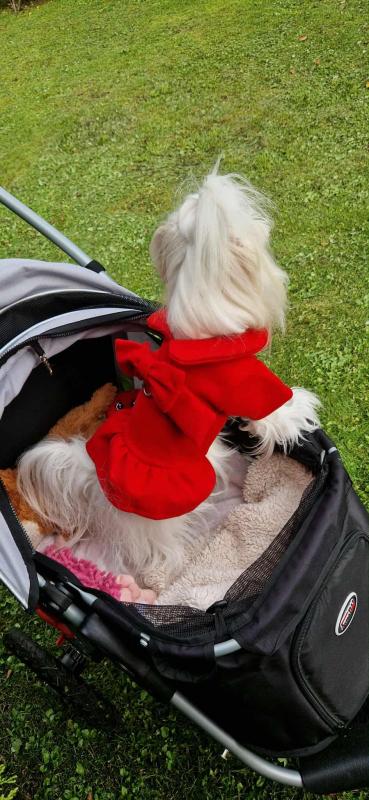 Ulvi2016 uploaded   222  day/s  ago