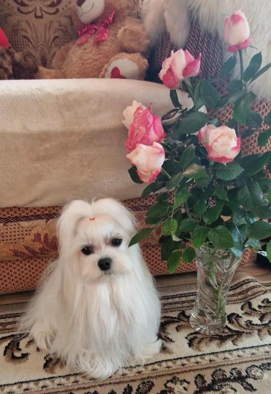 Ulvi2016 uploaded   215  day/s  ago