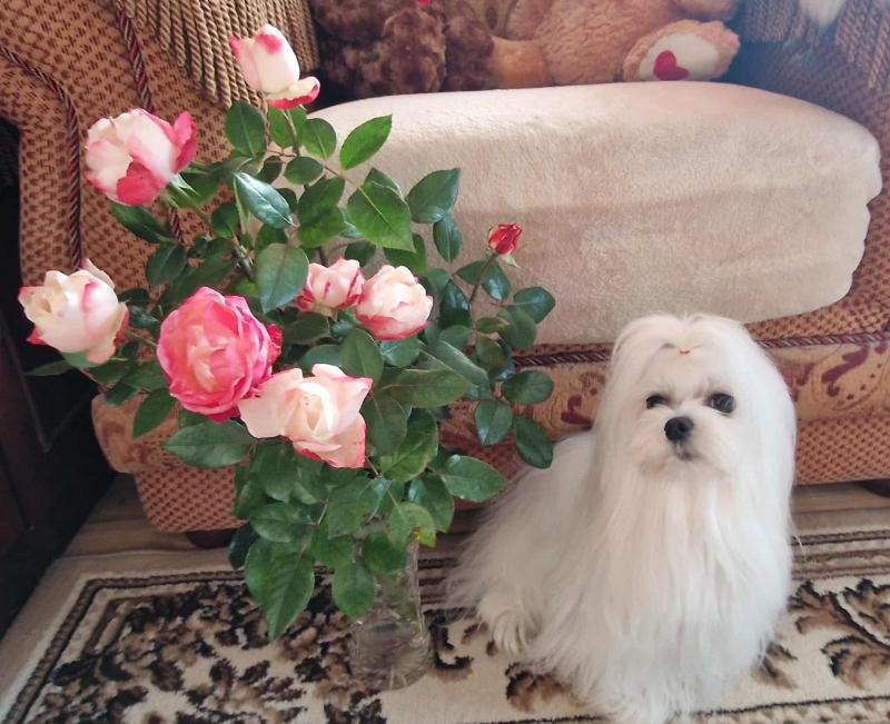 Ulvi2016 uploaded   215  day/s  ago