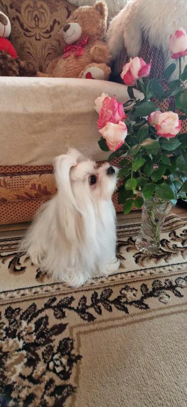 Ulvi2016 uploaded   215  day/s  ago