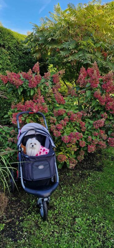 Ulvi2016 uploaded   208  day/s  ago