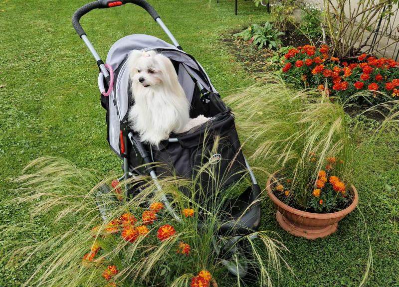 Ulvi2016 uploaded   222  day/s  ago