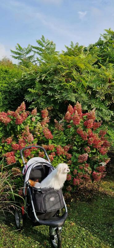 Ulvi2016 uploaded   222  day/s  ago