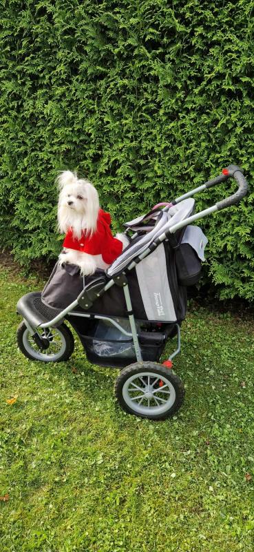 Ulvi2016 uploaded   222  day/s  ago