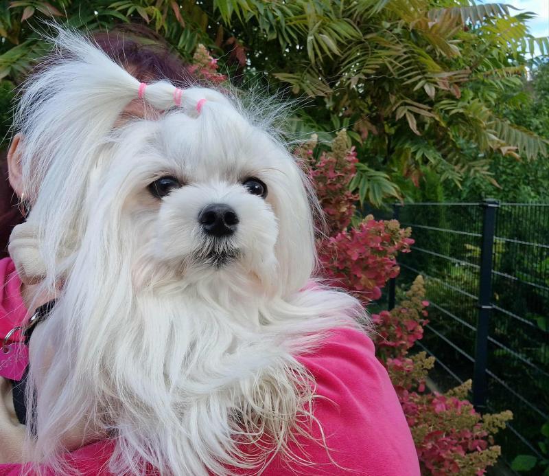 Ulvi2016 uploaded   194  day/s  ago