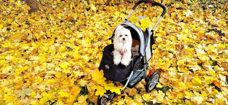 Ulvi2016 uploaded   185  day/s  ago