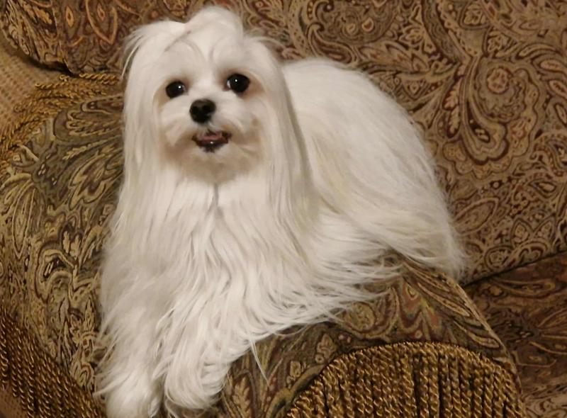 Ulvi2016 uploaded   178  day/s  ago