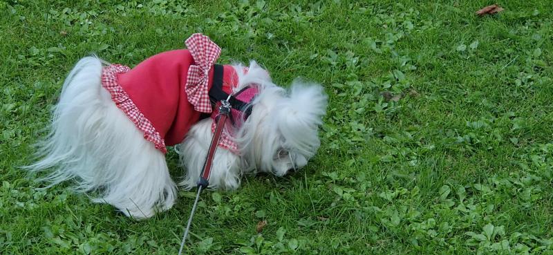 Ulvi2016 uploaded   201  day/s  ago