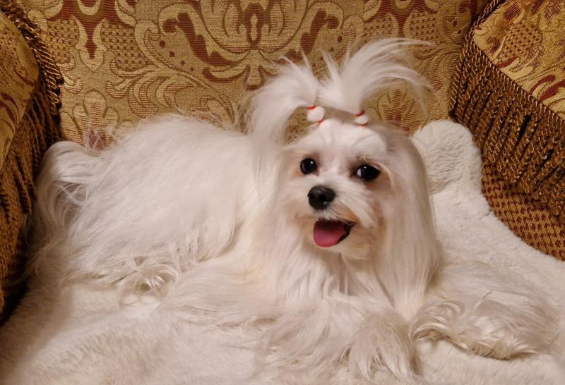 Ulvi2016 uploaded   157  day/s  ago