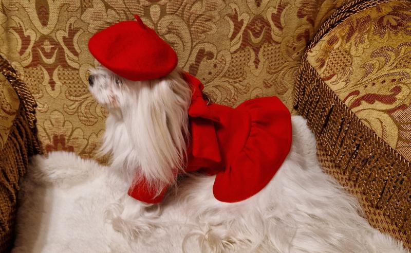 Ulvi2016 uploaded   157  day/s  ago