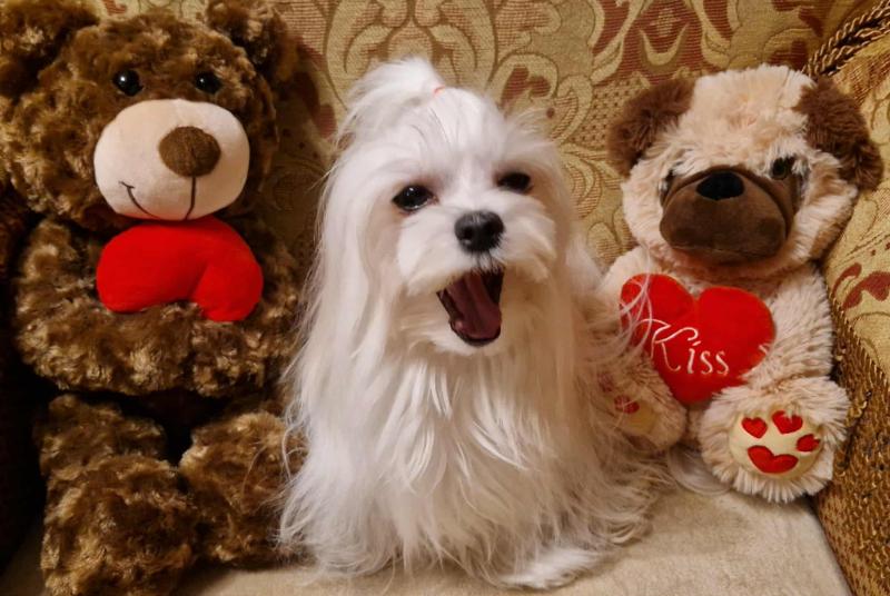 Ulvi2016 uploaded   144  day/s  ago