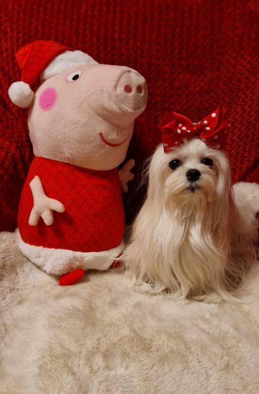 Ulvi2016 uploaded   133  day/s  ago