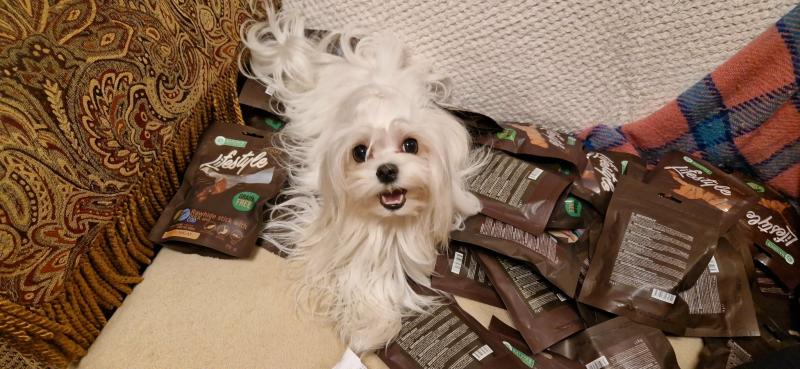 Ulvi2016 uploaded   131  day/s  ago