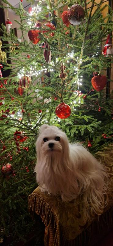 Ulvi2016 uploaded   122  day/s  ago