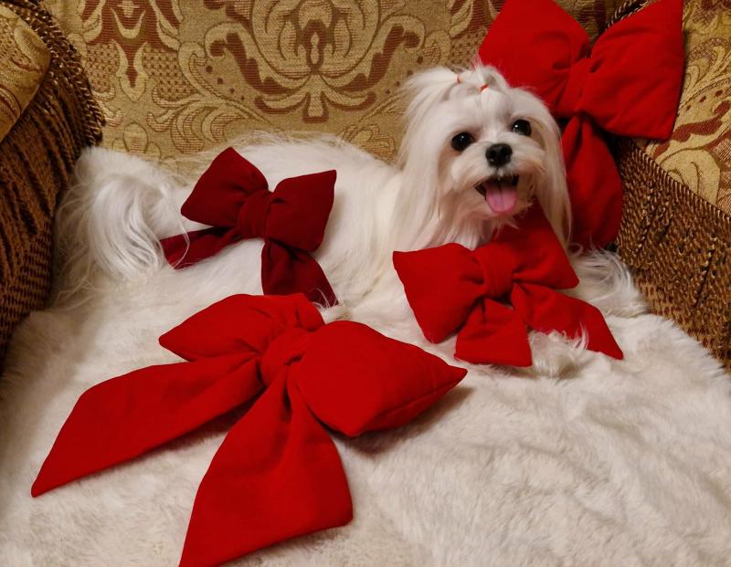 Ulvi2016 uploaded   138  day/s  ago