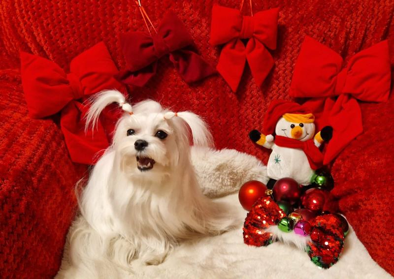 Ulvi2016 uploaded   137  day/s  ago