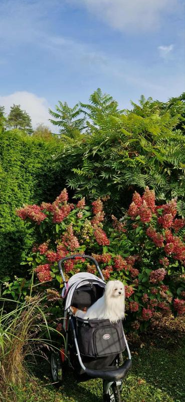 Ulvi2016 uploaded   222  day/s  ago