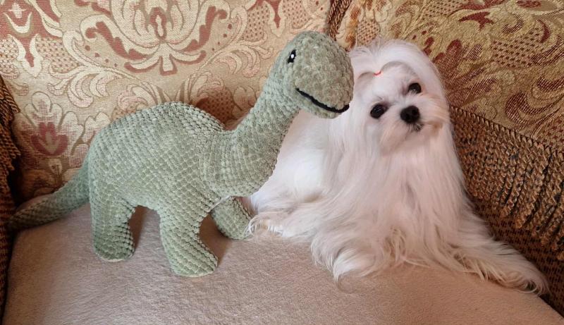 Ulvi2016 uploaded   215  day/s  ago