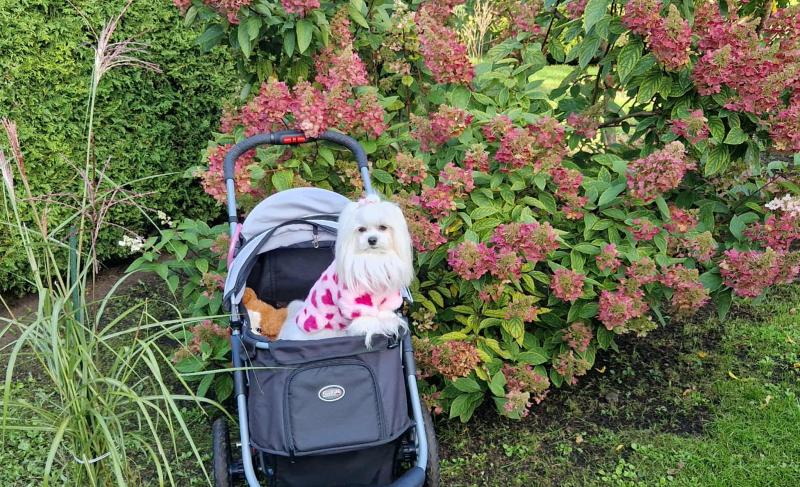 Ulvi2016 uploaded   208  day/s  ago