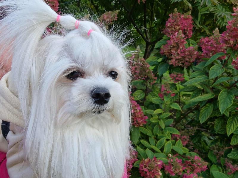 Ulvi2016 uploaded   194  day/s  ago