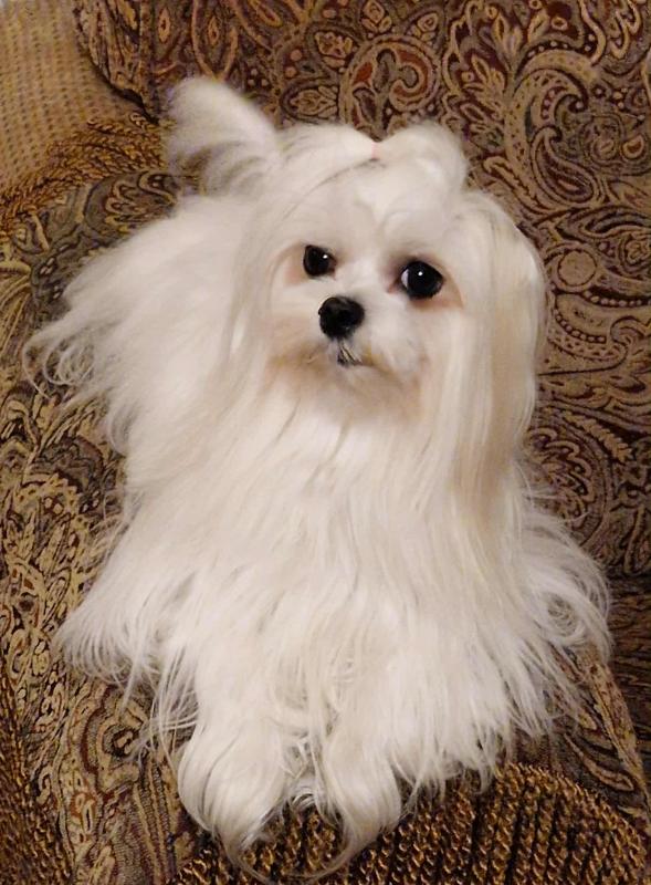 Ulvi2016 uploaded   178  day/s  ago