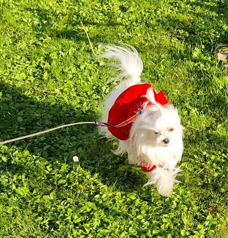 Ulvi2016 uploaded   201  day/s  ago