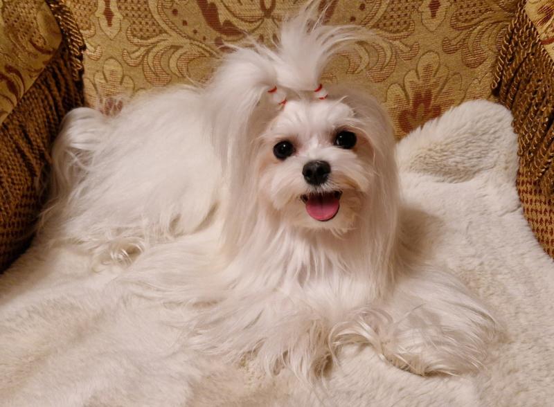 Ulvi2016 uploaded   157  day/s  ago