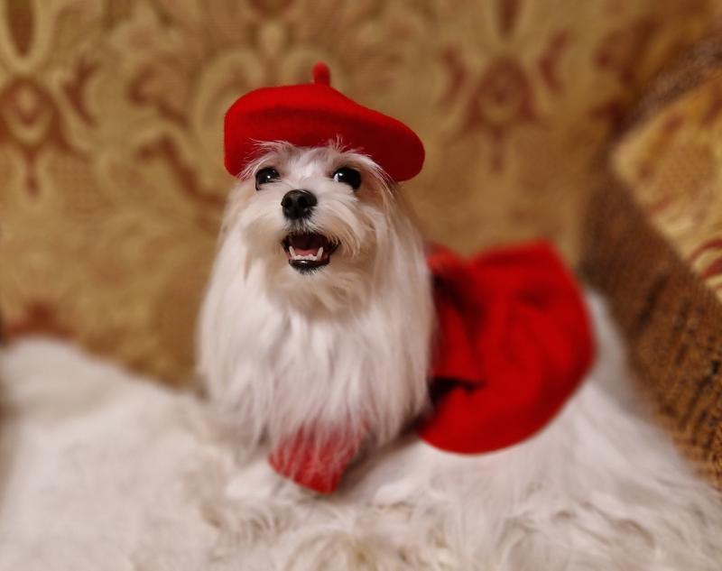 Ulvi2016 uploaded   157  day/s  ago