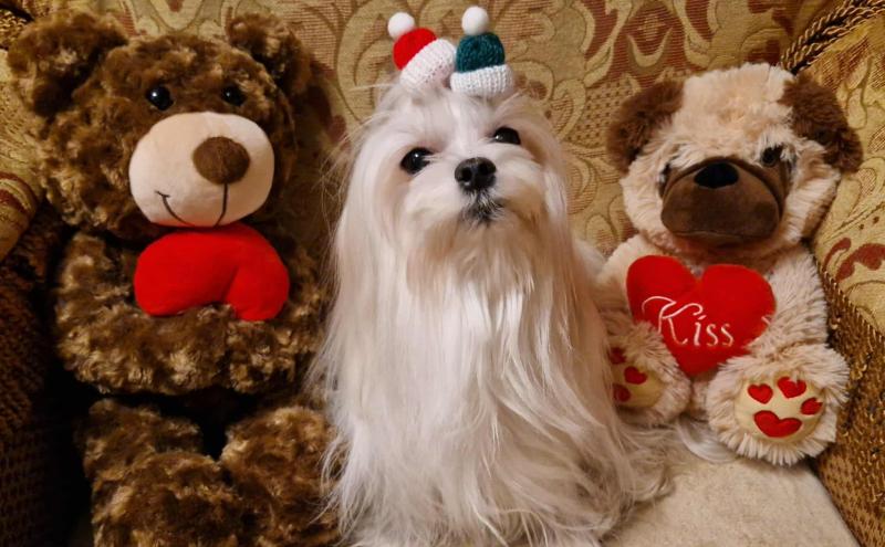 Ulvi2016 uploaded   144  day/s  ago