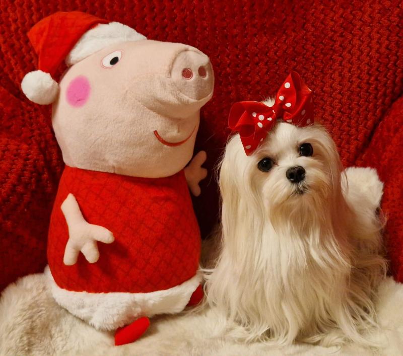 Ulvi2016 uploaded   133  day/s  ago