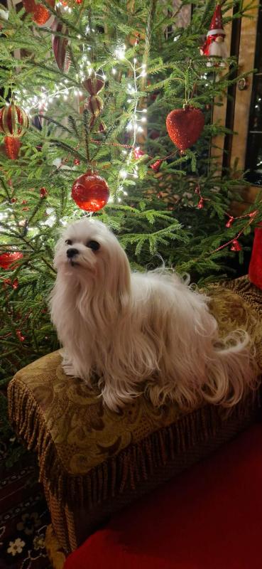 Ulvi2016 uploaded   122  day/s  ago