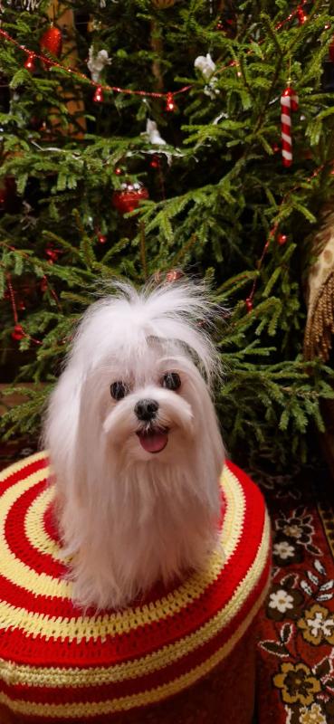 Ulvi2016 uploaded   122  day/s  ago