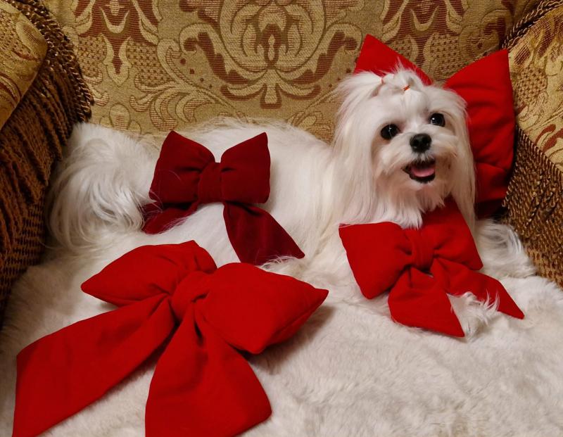 Ulvi2016 uploaded   138  day/s  ago