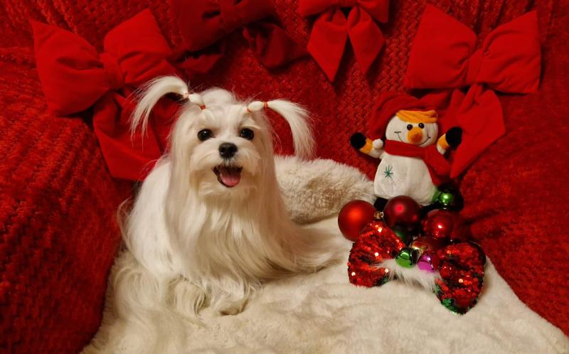 Ulvi2016 uploaded   137  day/s  ago