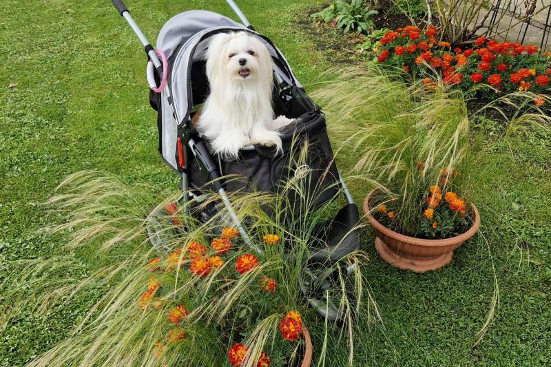 Ulvi2016 uploaded   222  day/s  ago