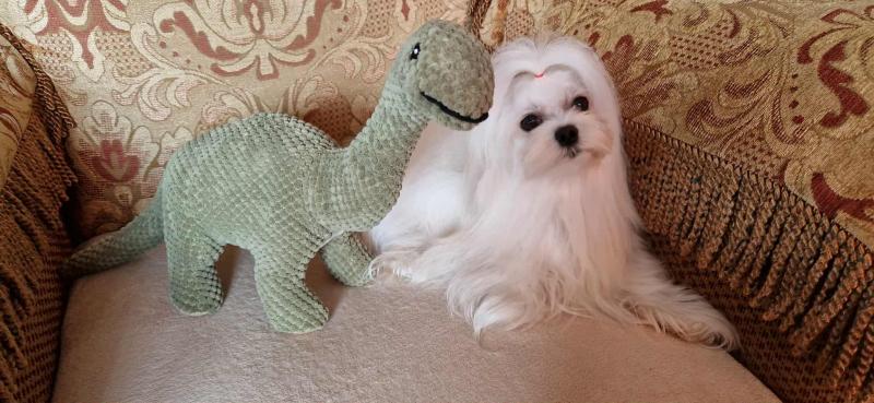 Ulvi2016 uploaded   215  day/s  ago