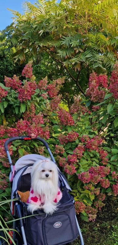 Ulvi2016 uploaded   208  day/s  ago