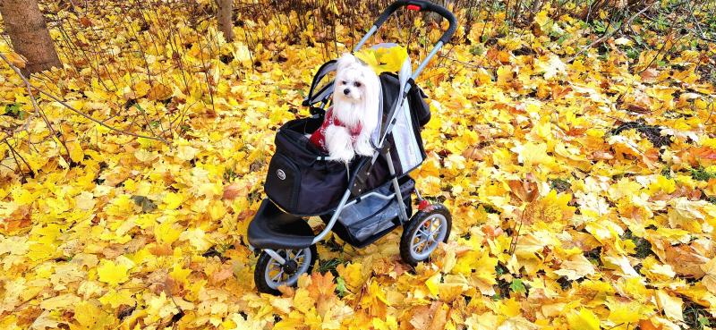 Ulvi2016 uploaded   185  day/s  ago