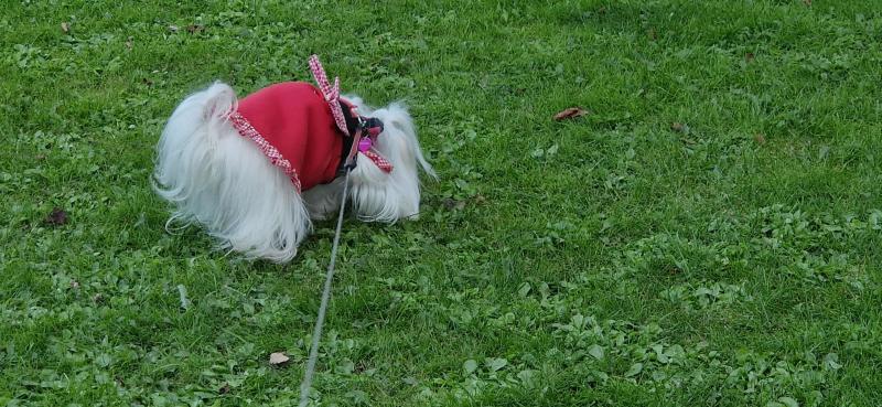 Ulvi2016 uploaded   201  day/s  ago