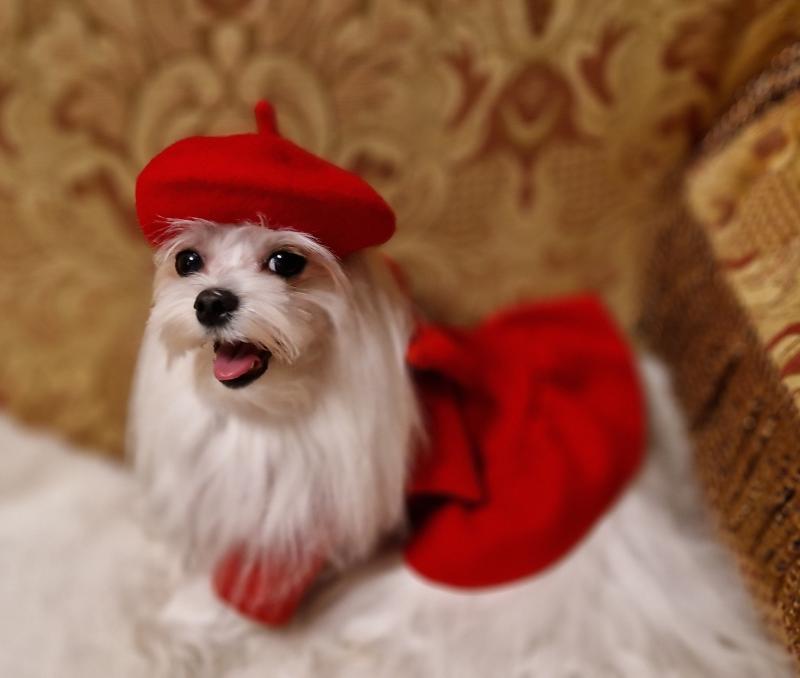 Ulvi2016 uploaded   157  day/s  ago