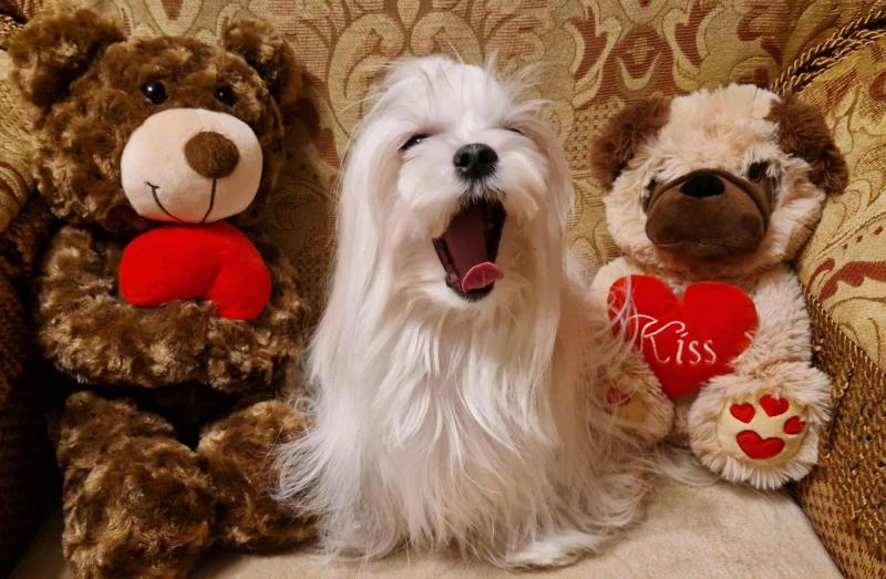 Ulvi2016 uploaded   144  day/s  ago