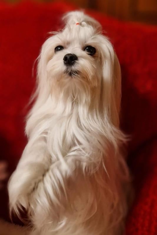 Ulvi2016 uploaded   133  day/s  ago