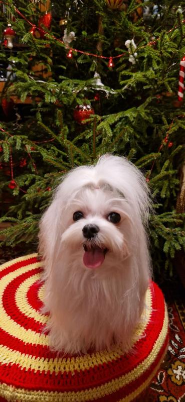 Ulvi2016 uploaded   122  day/s  ago