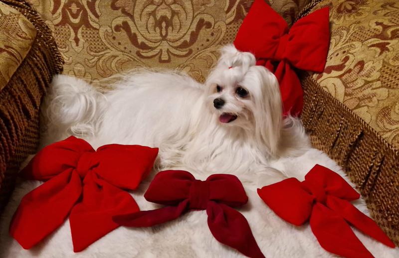 Ulvi2016 uploaded   138  day/s  ago